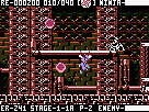 Ninja Gaiden III: The Ancient Ship of Doom